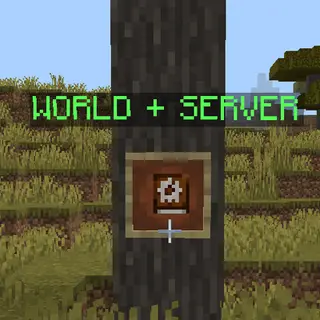 WORLD + SERVER SETTINGS