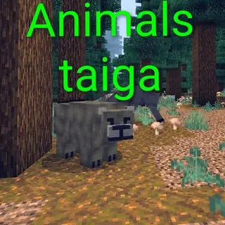 Animals taiga pack