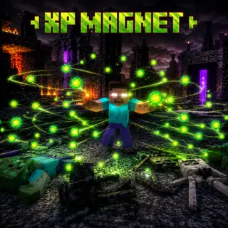 XP magnet (eu)
