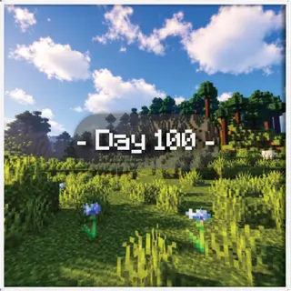 Day Count