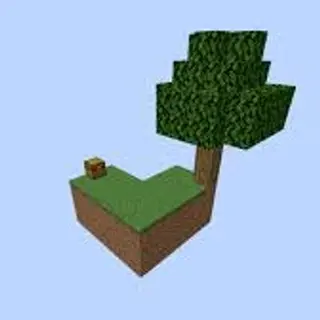 Skyblock With Biomes