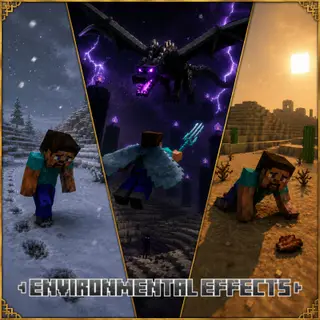 Environmental Effects