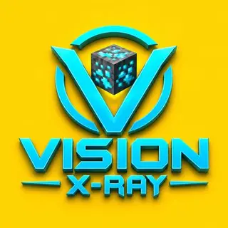 VISION X-RAY