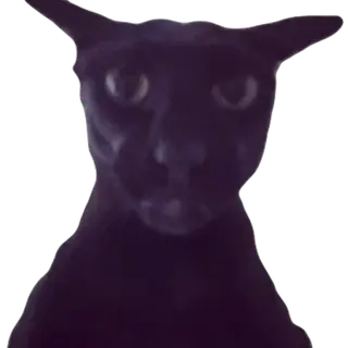 Larry cat totem of undying