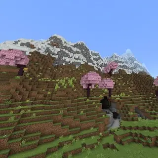 Amplified World
