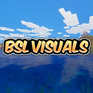 BSL VIBRANT VISUALS