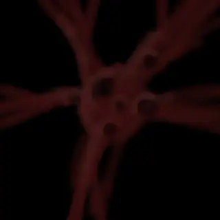 Extroctopolis