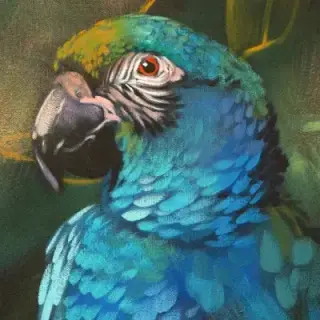 Beautiful Paintings