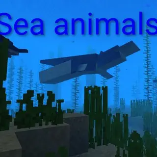 Animals Sea pack