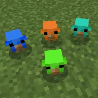 Rainbow Baby Chicks