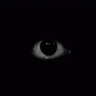 Fear of Darkness