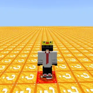 Lucky Flat World (fs)