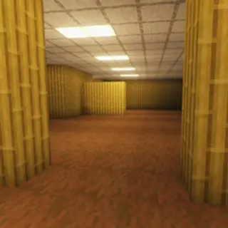 Project - The Backrooms