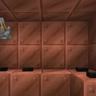 Mine lung