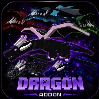 Dragon & Wyvern