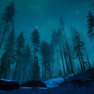 Animated Menu: Aurora Forest Night