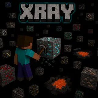 BigBongMe’s xray