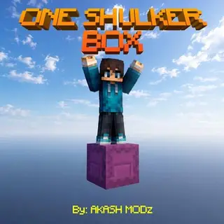 ONE SHULKER BOX