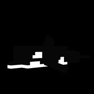 Dolphin Into Orca