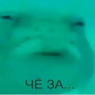 Bezumie