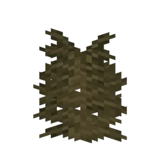 FERN!