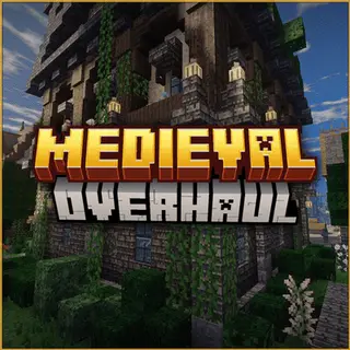 Medieval Overhaul
