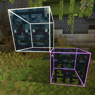 TC Xray