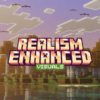 Realism Enhanced Visuals