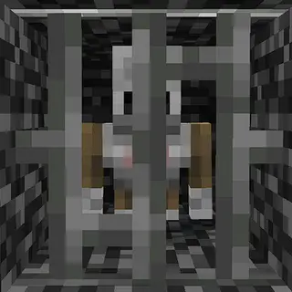 Escape the Bedrock Prison!