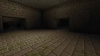 Endless Dungeons