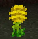 Growing Flowers