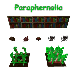 Paraphernalia