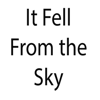 It Fell From The Sky