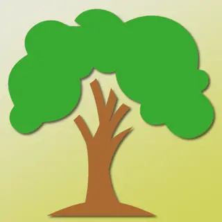 Ancient Trees