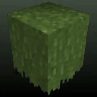 curt's Long Grass