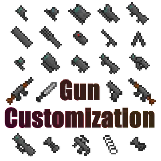 Gun Customization