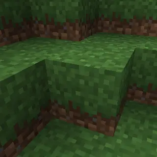 Extended Grass