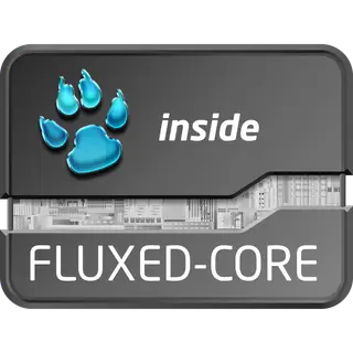 Fluxed-Core