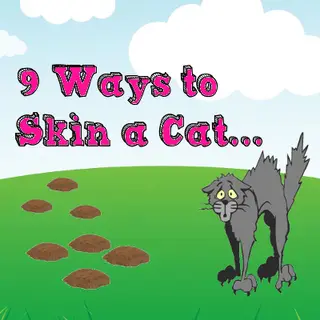 9 Ways To Skin A Cat