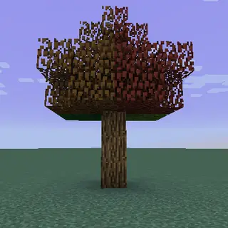 Season API