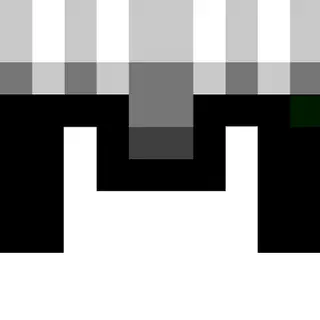 Wither Armor