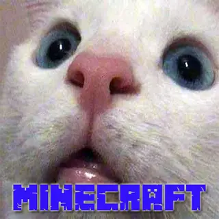 SimpleCraft MCD