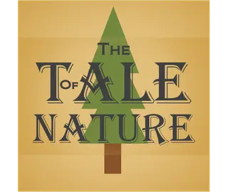 The Tale Of Nature