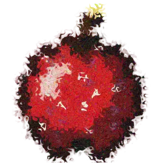Endless apple