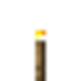 Torchplacer
