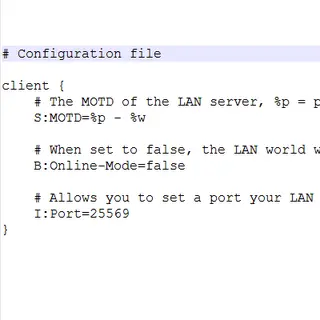 SinglePlayerServerSettings [OfflineLAN]