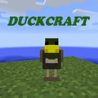 Duck Craft