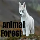 Animal Forest