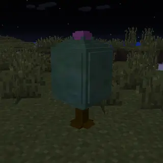 Apricorn Automation