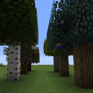 Apricorn Tree Farm